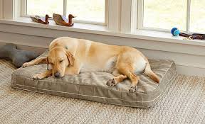 🛏️ Beds & Comfort